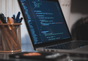 Blockchain Adoption in Government Systems